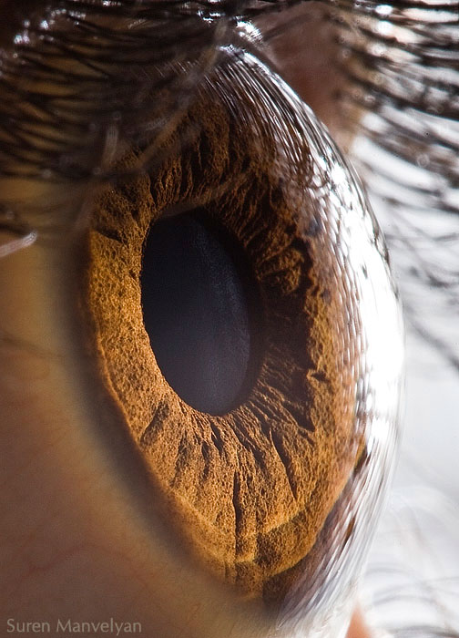 extreme-close-up-of-human-eye-macro-suren-manvelyan-1