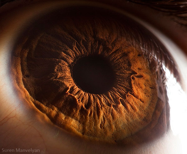 extreme-close-up-of-human-eye-macro-suren-manvelyan-10