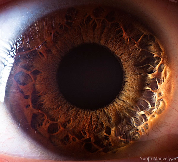 extreme-close-up-of-human-eye-macro-suren-manvelyan-11