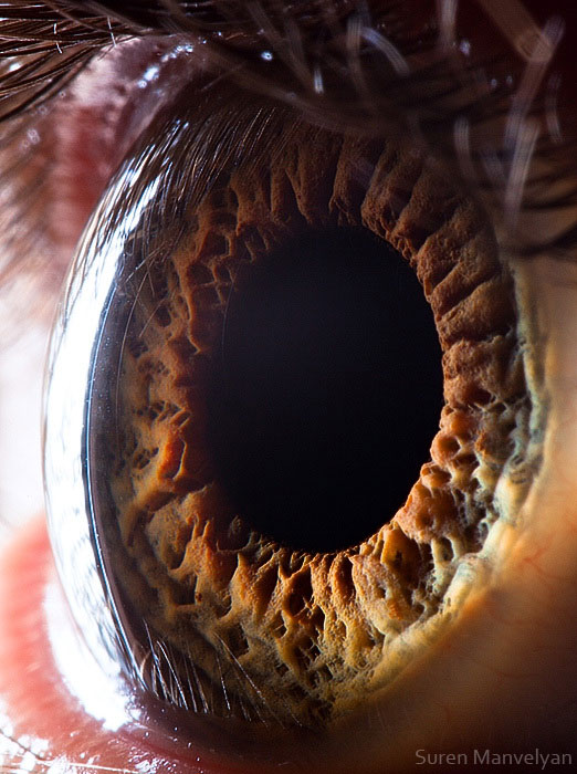 extreme-close-up-of-human-eye-macro-suren-manvelyan-12