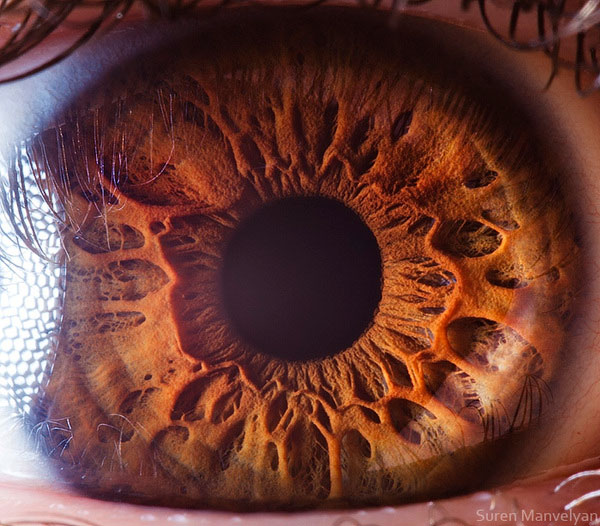 extreme-close-up-of-human-eye-macro-suren-manvelyan-13
