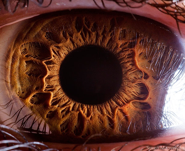 extreme-close-up-of-human-eye-macro-suren-manvelyan-14