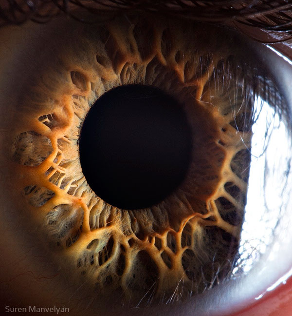 extreme-close-up-of-human-eye-macro-suren-manvelyan-15