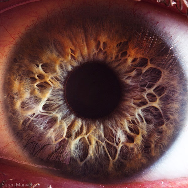 extreme-close-up-of-human-eye-macro-suren-manvelyan-16