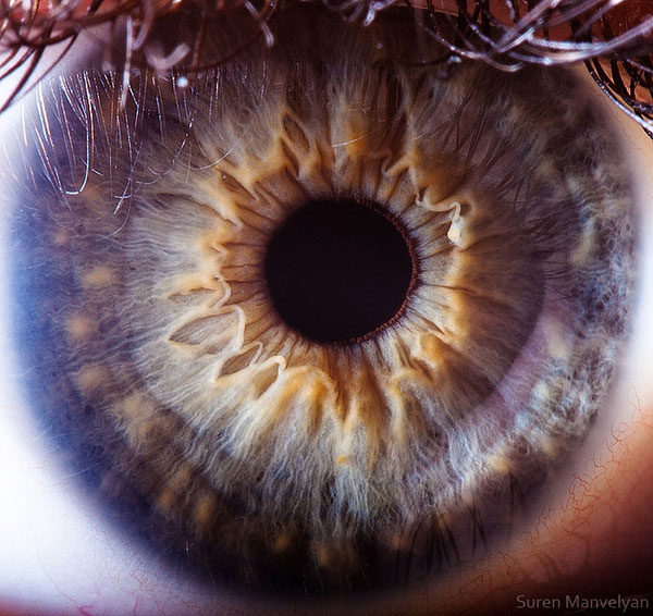 extreme-close-up-of-human-eye-macro-suren-manvelyan-18