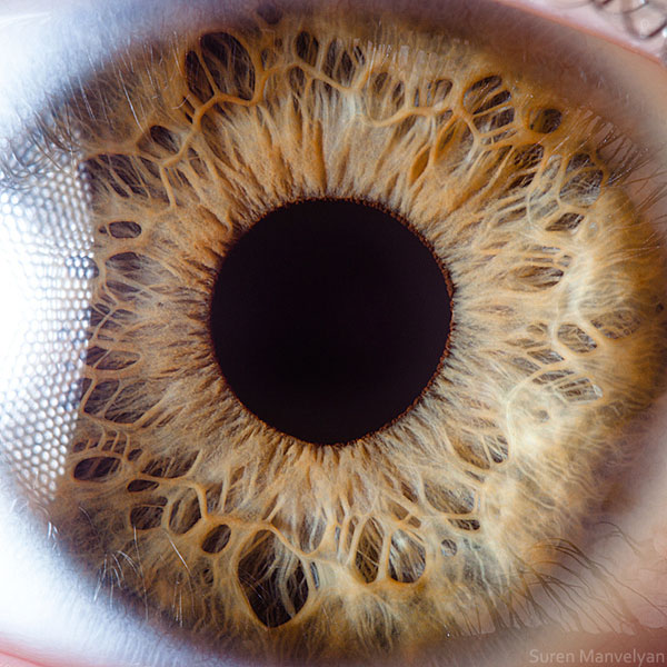 extreme-close-up-of-human-eye-macro-suren-manvelyan-19