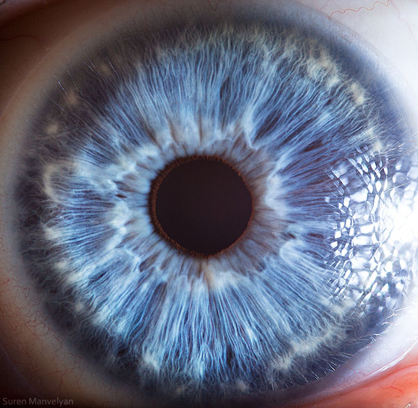 extreme-close-up-of-human-eye-macro-suren-manvelyan-20