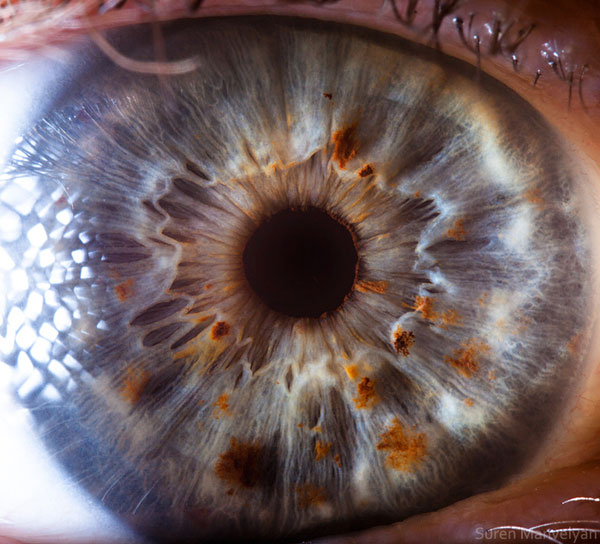 extreme-close-up-of-human-eye-macro-suren-manvelyan-21