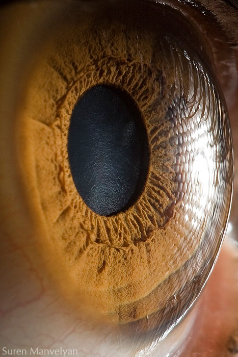extreme-close-up-of-human-eye-macro-suren-manvelyan-3