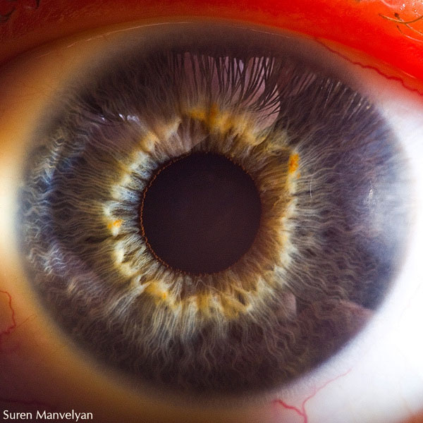 extreme-close-up-of-human-eye-macro-suren-manvelyan-4