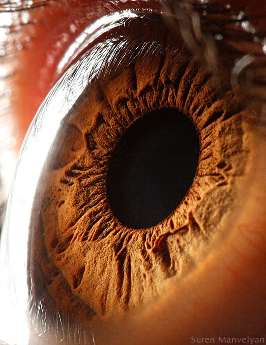 extreme-close-up-of-human-eye-macro-suren-manvelyan-5