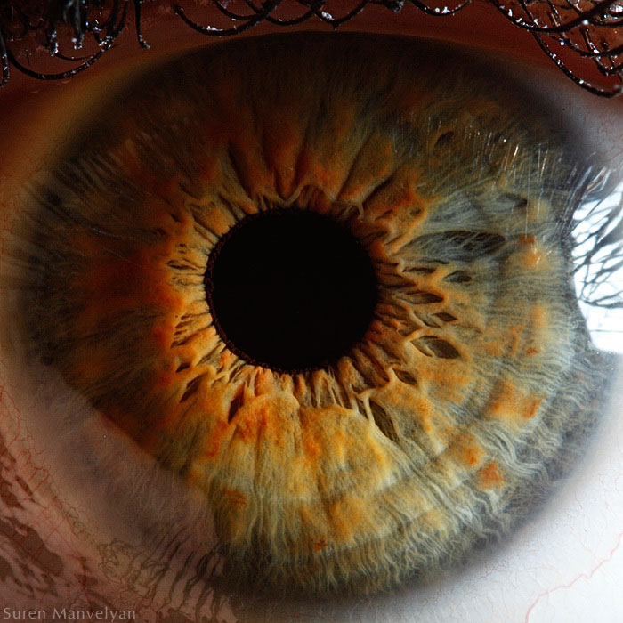 extreme-close-up-of-human-eye-macro-suren-manvelyan-6