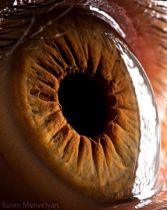 extreme-close-up-of-human-eye-macro-suren-manvelyan-7