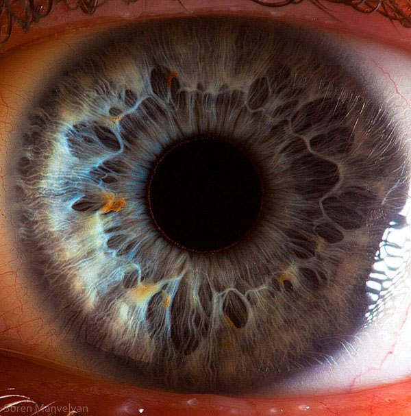 extreme-close-up-of-human-eye-macro-suren-manvelyan-8