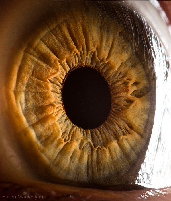 extreme-close-up-of-human-eye-macro-suren-manvelyan-9