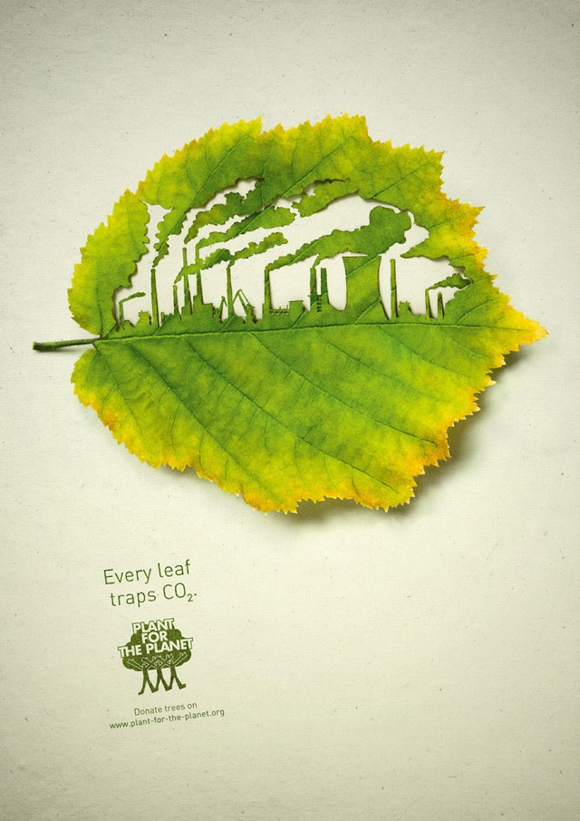 Plant for the Planet: Every leaf traps CO2 