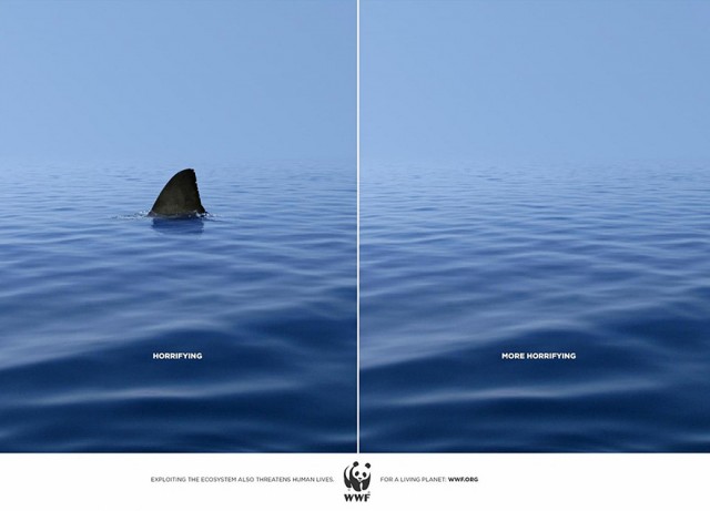 WWF: Shark 