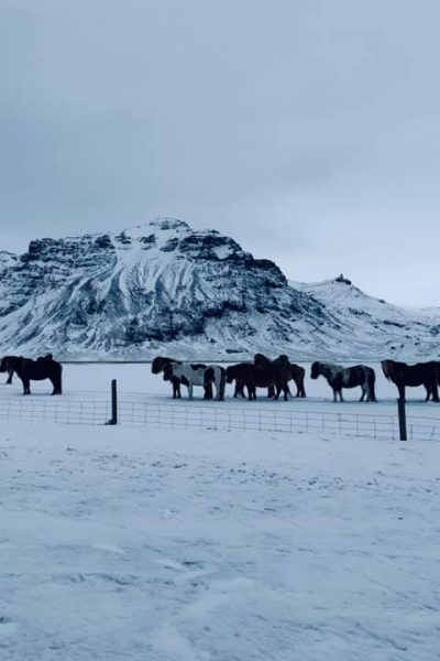Foto(s) do dia - Islândia